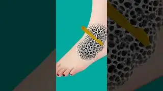 #animation#asmrsounds#relaxationsounds#relaxing#asmrvideo#asmrshorts#asmrviralshorts