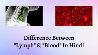 Difference Between Lymph and Blood in Hindi | ब्लड और लिम्फ में अंतर