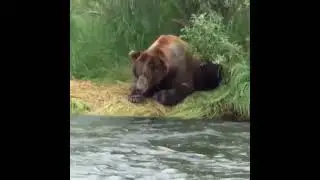 рыбак в засаде