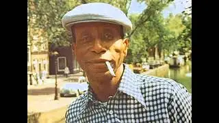 Doctor Ross - The Harmonica Boss