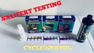 Waterbox AIO Nano Reef Tank Build | Ep. 17 | Monitoring Nitrogen Cycle Using Salifert Test Kits