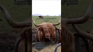 Perspective is important. #highlandsofscotland #remoteliving #countryliving