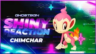 Live Full Odds Shiny Chimchar Appears in Platinum
