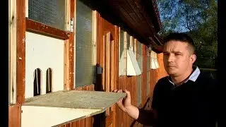 Weronika & Grzegorz Nowak - PZHGP 0235 Rabka / Hodowla Z Gór !