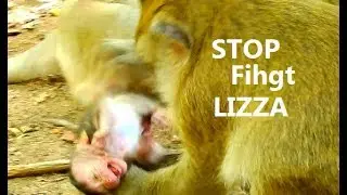 No...Stop ! Don't Hurt Lizza ! Baby Lizza hurt cry loudly | Don't this to My Beautiful Lizza.