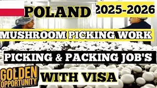 WORK IN POLAND - PICKING AND PACKING JOBS WITH WORK PERMIT VISA 2025/26 - APPLY FREE||
