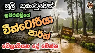 දිට්වා කුණාටුවෙන් පස්සෙ වික්ටෝරියා පාර්ක් එක ❤️ victoria park nuwara eliya sri lanka