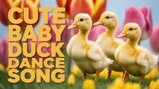 Animal Song for Kids | English Learning Music About Ducks with Fun Quack Quack and Animation
