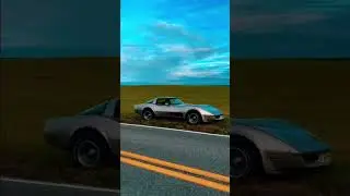😍😍😍😍 #chervolet #corvette #girl #field #grey #iconic #superfast