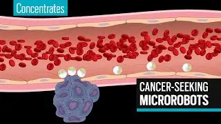 Microrobots roll against blood flow to deliver drugs