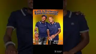 DJ 20 baphi abalandeli