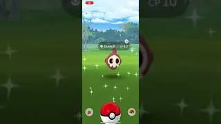 SHINY DUSKULL ✨ RARE POK&Eacute;MON #shiny #pokemon #pokemongo #shorts #shinypokemon #fyp #poke #pokeball
