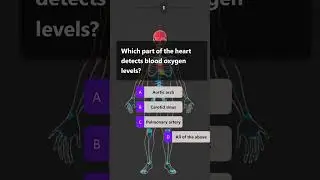 Part 347 | Test Your Knowledge of Human Genetics and DNA!