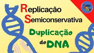 Replicação Semiconservativa (Duplicação do DNA)
