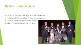 Your First AKC Dog Show