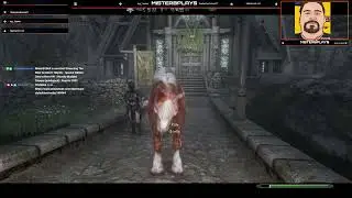 Zero to Hero #41 | Heavily Modded Telsera (wabbajack) | Road to 200!!