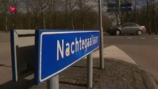 Flevoland - Plan voor rotondes op Vogelweg als Almere betaalt