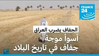 لا أمطار في العراق.. الجفاف يضرب البلاد ورائحة حقول أرز العنبر العطرة تغادر قضاء المشخاب