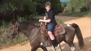 Gentle Kid Safe Horse For Sale, Black Pearl, 10 year old Riding Mare