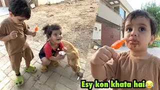 Что это за способ есть мороженое? Cat ko khiladi saree.