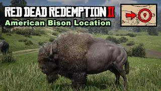 American Bison location - Red Dead Redemption 2