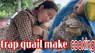 How to set up a trap to attract quail..life in forest catching quail,, Make cooking 