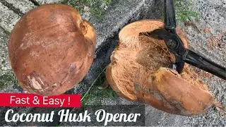 How to Remove Coconut Husk Easily | How to Use Coconut Husk Opener | Fast & Easy Peel Off in Seconds
