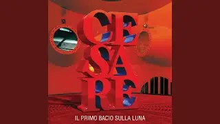 Cercando Camilla