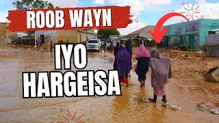 ROOB WAYN OO HARGEISA HELAY KADIB WAA SIDEE  #2024