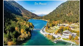 Plansee