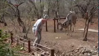 Feeding the 