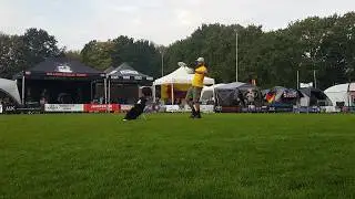 UFO World Finals 2018 - Matteo Gaddoni with Bill