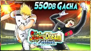 550db GACHA SDF SCHNEIDER & MULLER 