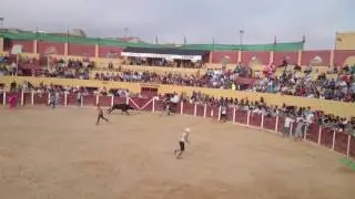 Corre corre que te coge el Toro. Leda&ntilde;a.