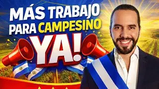Empleo para los agricultores YA BUKELE