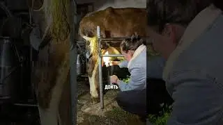 ЖЕНА КИТАЯНКА ВПЕРВЫЕ ПРОБУЕТ ТВОРОГ 😱