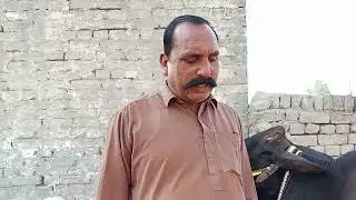 Cholistani fridge in cross gay for sale