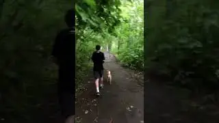 Лесной VRPPER