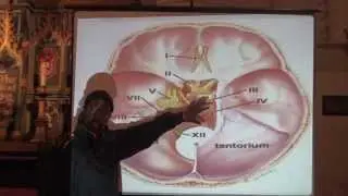 Melanin Anatomy and the Bible, part 1