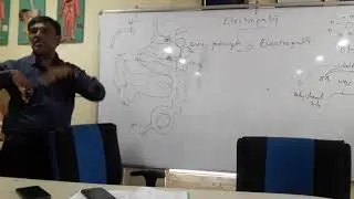 Basic Principal Of Electro Homeopathy (Part 3)23-8-21