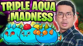 HIGH-RANK TRIPLE AQUA SQUARE TEETH BUILD | ORIGINS LEADERBOARDS | AXIE INFINITY