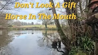 A BIG Surprise At The Horse Pond!