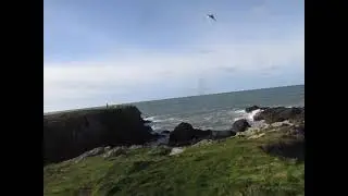 Porth Y Post To Porth Y Afon - Anglesey Coastal Path - Ocober 2022