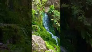 📍Krom River Trail {western cape 🇿🇦} #capetown #southafrica #hike #waterfall #westerncape #uct