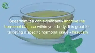 Top 10 Benefits of Spearmint Tea | Organic Facts