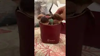 NEW Travel Bag for Your Makeup Brushes! // BK Beauty Standup Brush Holder & Travel Makeup Bag Demo