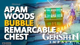 Apam Woods Bubble Remarkable Chest Genshin Impact