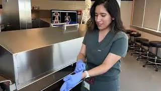 What is Modern Human Anatomy?