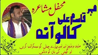new punjabi mushaira qasim kaloana 2019 by All in 1.