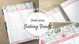 June 2019 Sinking Funds | Sara Marie Stickers | Erin Condren Deluxe Monthly |
